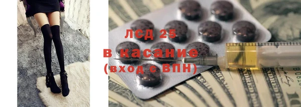 ПСИЛОЦИБИНОВЫЕ ГРИБЫ Алзамай
