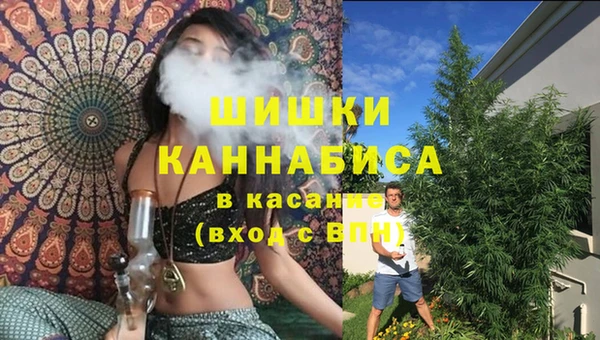 ПСИЛОЦИБИНОВЫЕ ГРИБЫ Алзамай