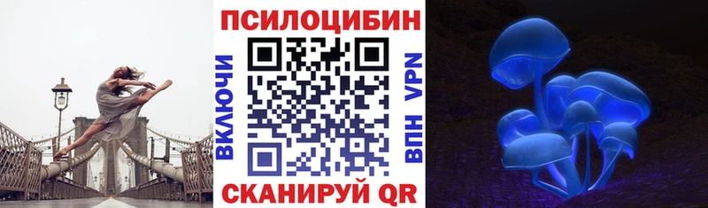 Псилоцибиновые грибы прущие грибы  это телеграм  Рубцовск  цены наркотик 